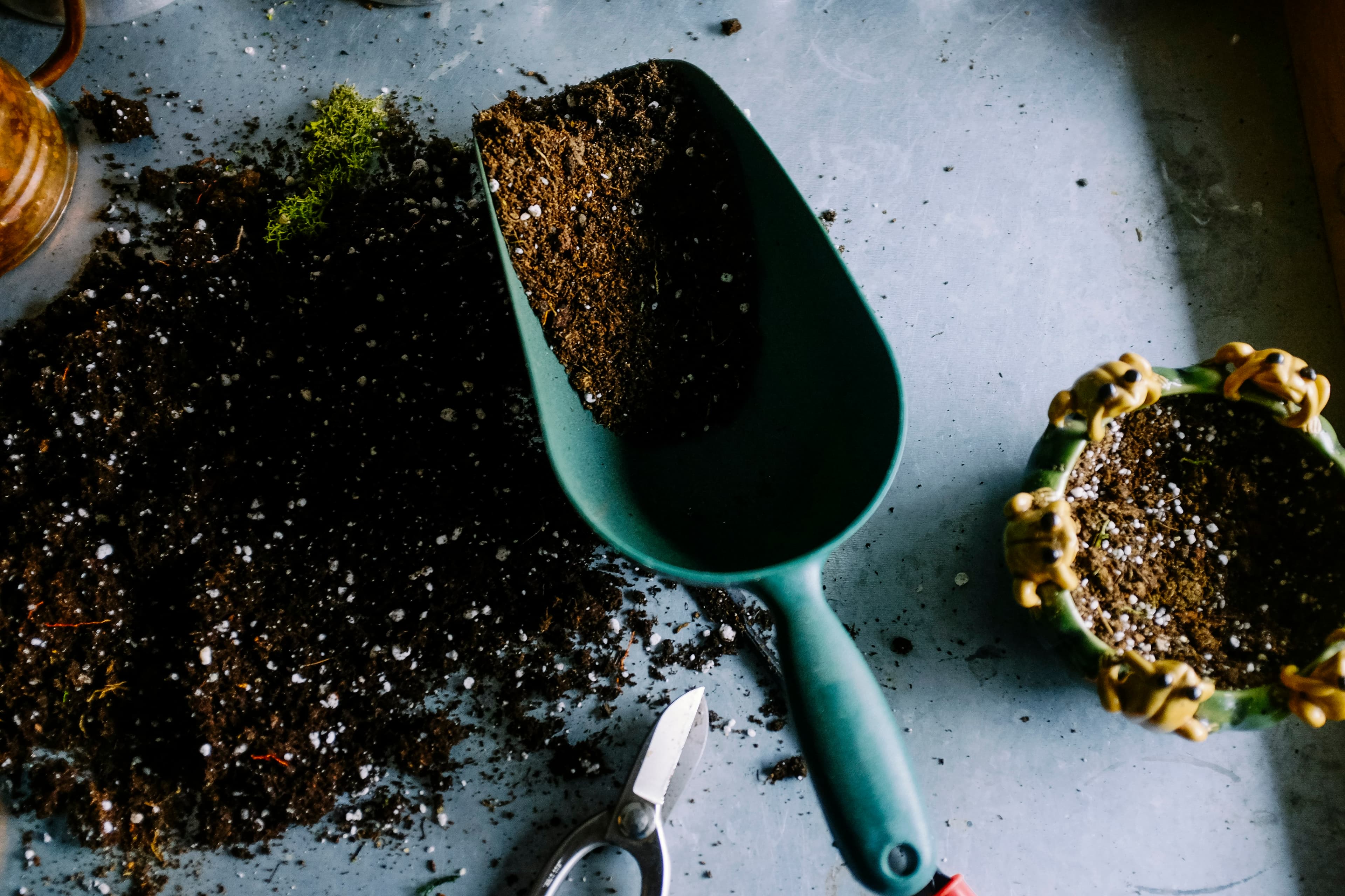 Landscapers at work, illustrative stock photo